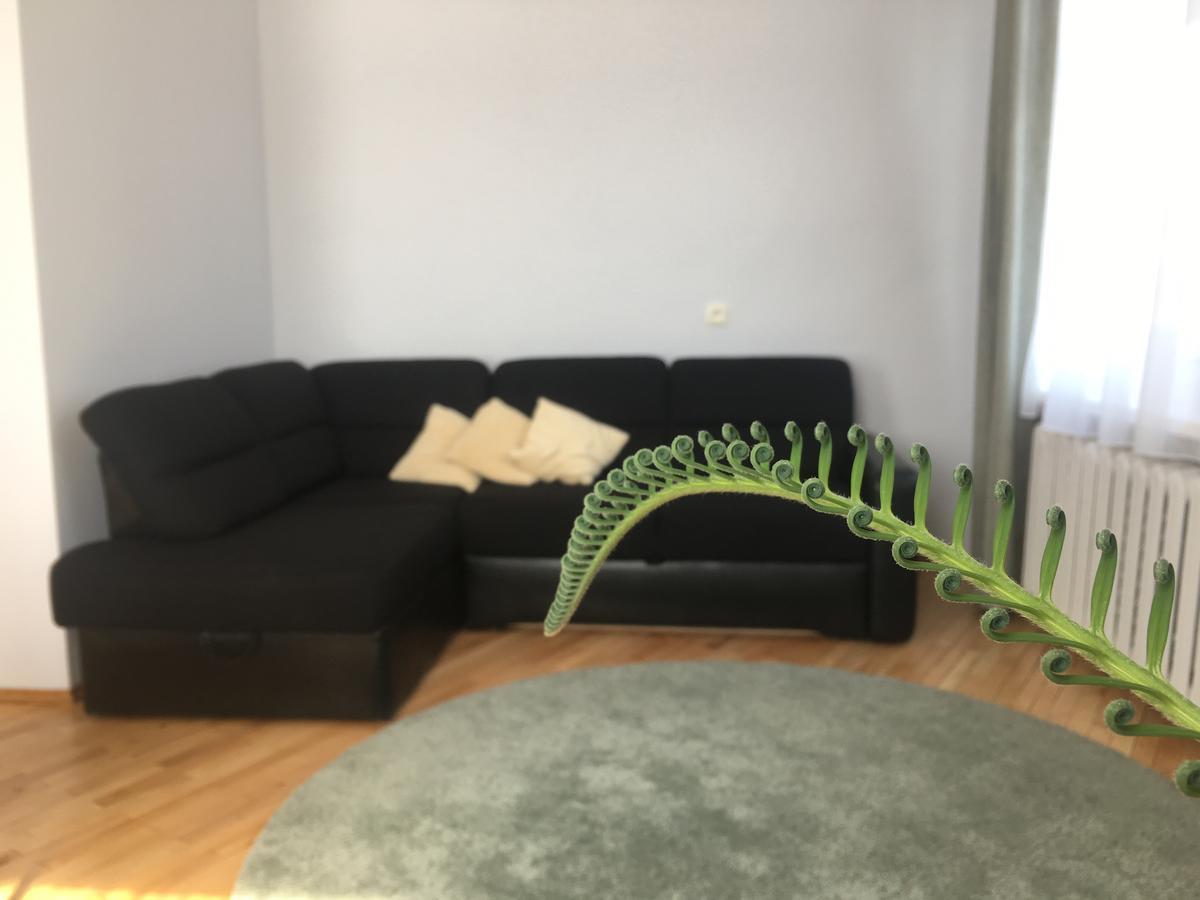 Apartamentai Eurista Druskininkai Bagian luar foto